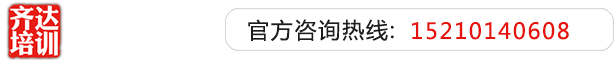 男人肏女人齐达艺考文化课-艺术生文化课,艺术类文化课,艺考生文化课logo